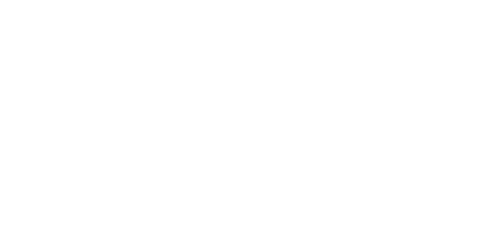 theflawlesslab-whitelogo
